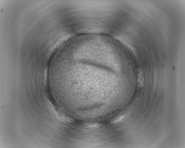 X0000087380206200705041954