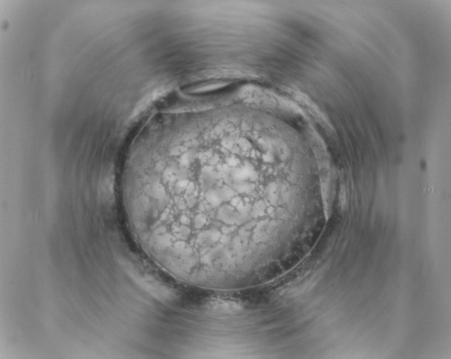 X0000087380207200705041953