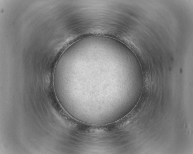 X0000087380208200705041953