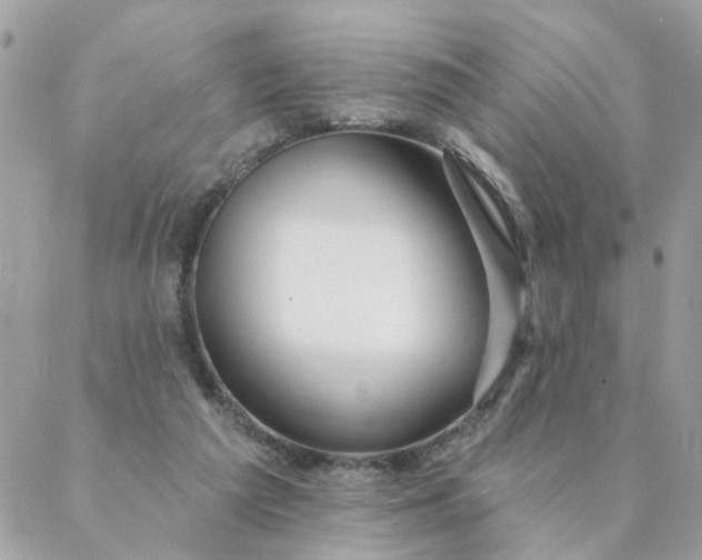 X0000087380209200705041953