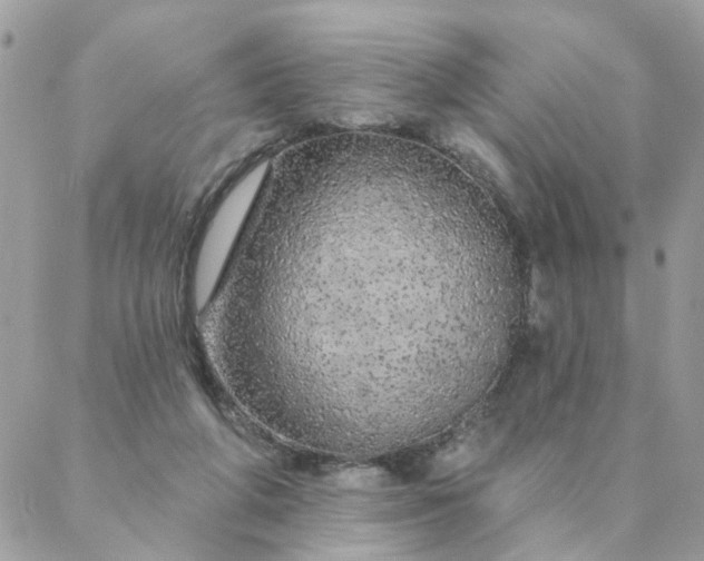 X0000087380210200705041953