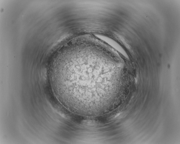 X0000087380211200705041953