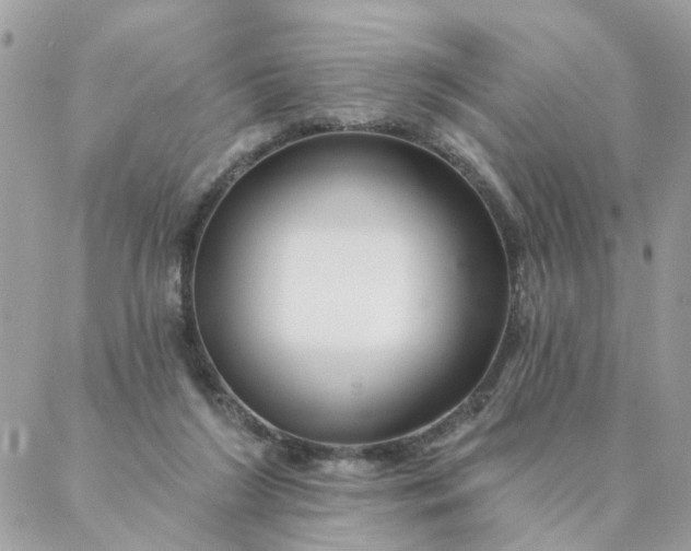 X0000087380212200705041953