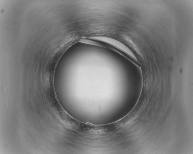 X0000087380213200705041953