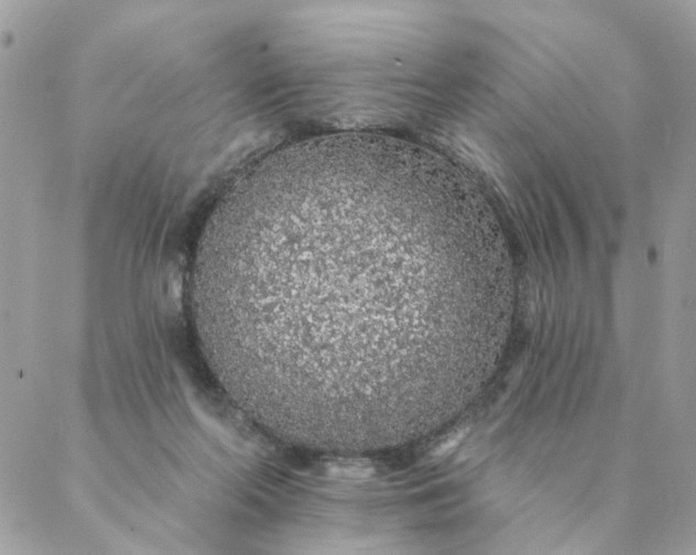 X0000087380214200705041953