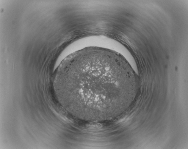 X0000087380215200705041953