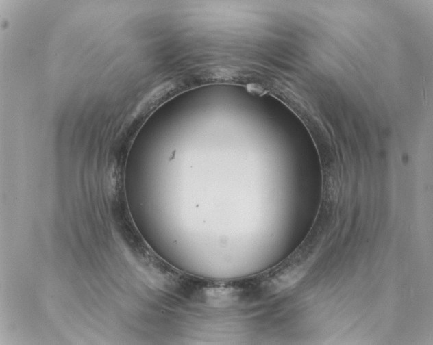 X0000087380216200705041953