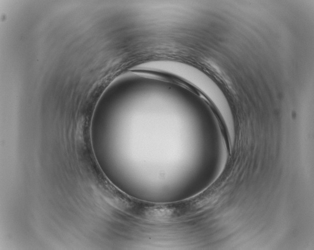 X0000087380217200705041953