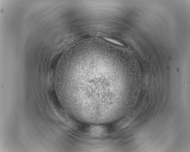 X0000087380218200705041953