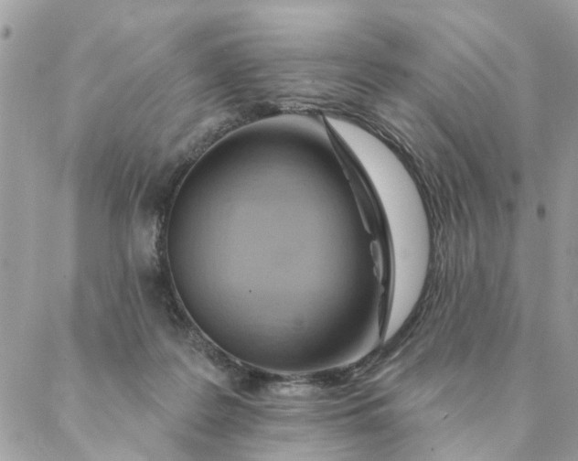 X0000087380219200705041953