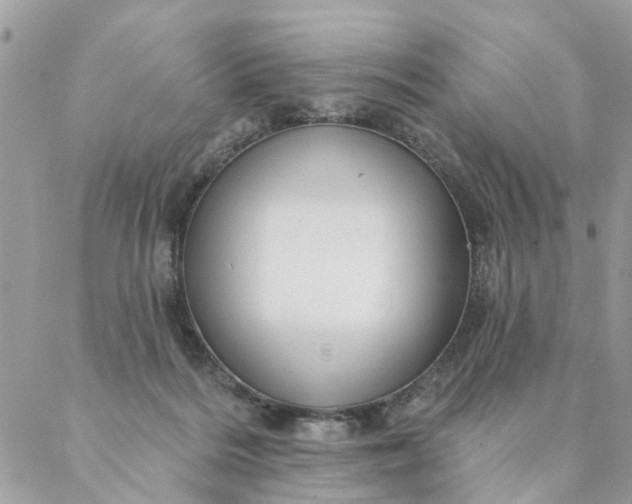 X0000087380220200705041953