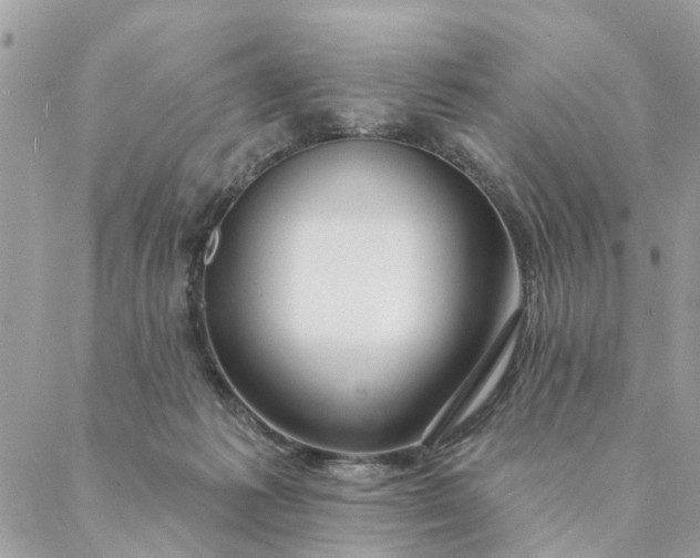 X0000087380221200705041953