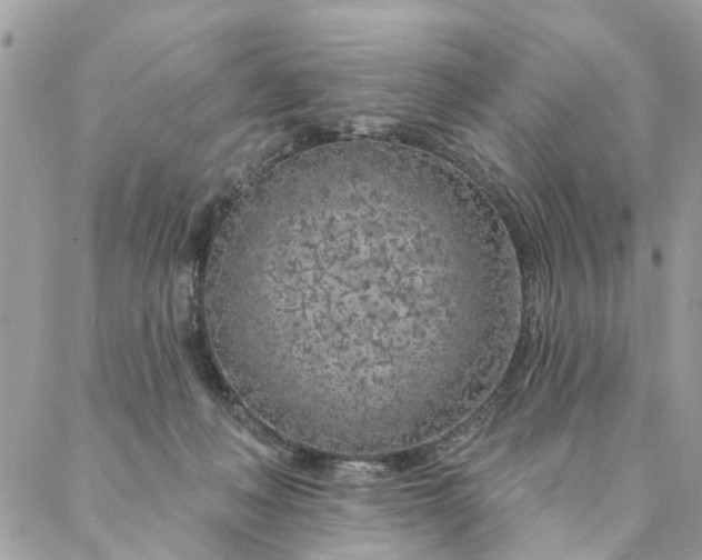 X0000087380222200705041953