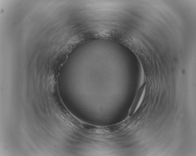 X0000087380223200705041953