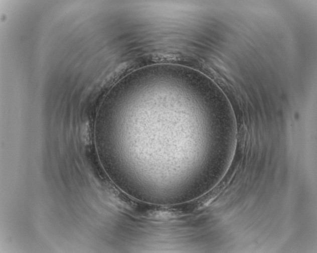 X0000087380224200705041953