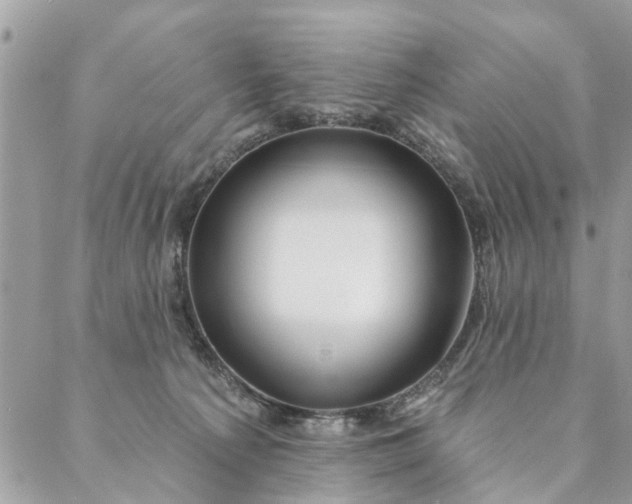 X0000087380225200705041953