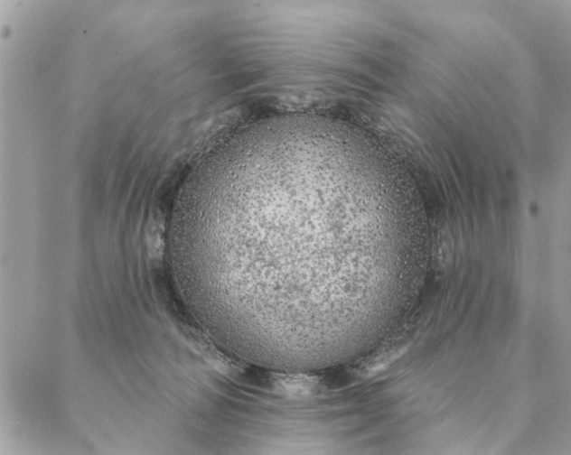 X0000087380226200705041953