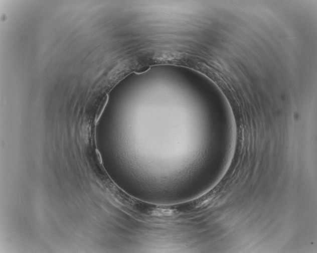 X0000087380227200705041953