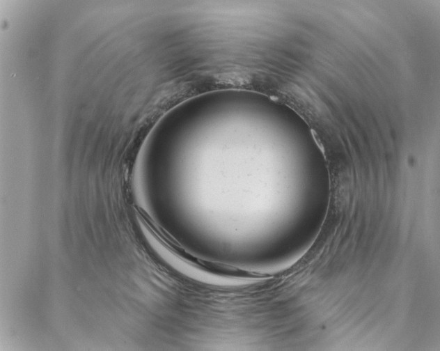 X0000087380229200705041953