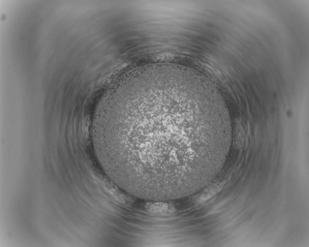 X0000087380230200705041953