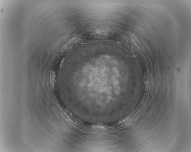 X0000087380231200705041953