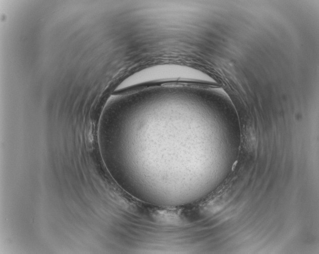 X0000087380232200705041953