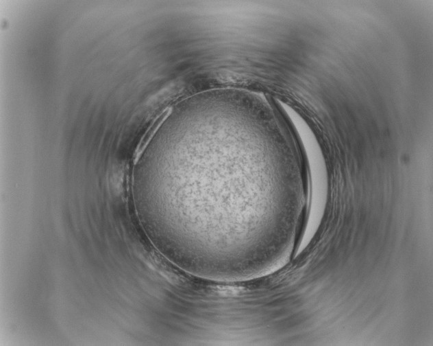 X0000087380233200705041953