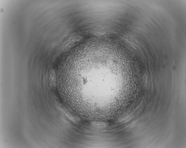 X0000087380234200705041953