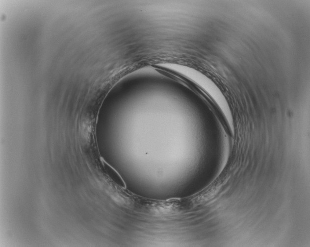 X0000087380235200705041953