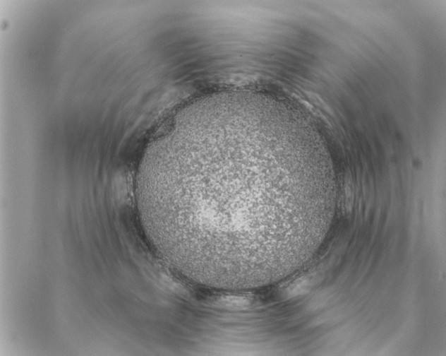 X0000087380236200705041953