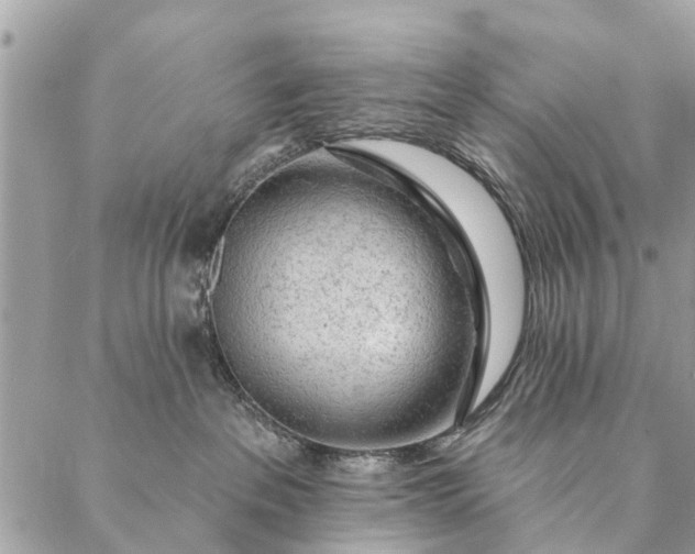 X0000087380237200705041953