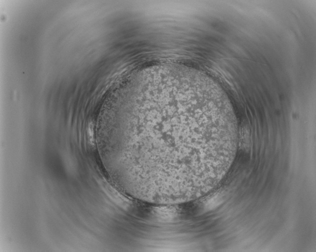 X0000087380238200705041953