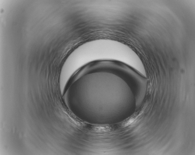 X0000087380239200705041953