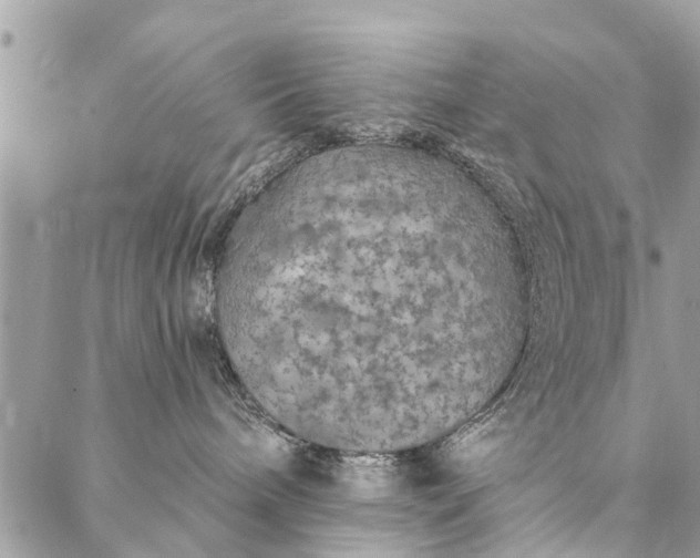 X0000087380240200705041953