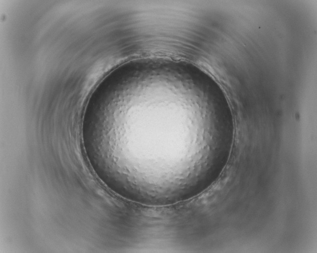 X0000087380241200705041952