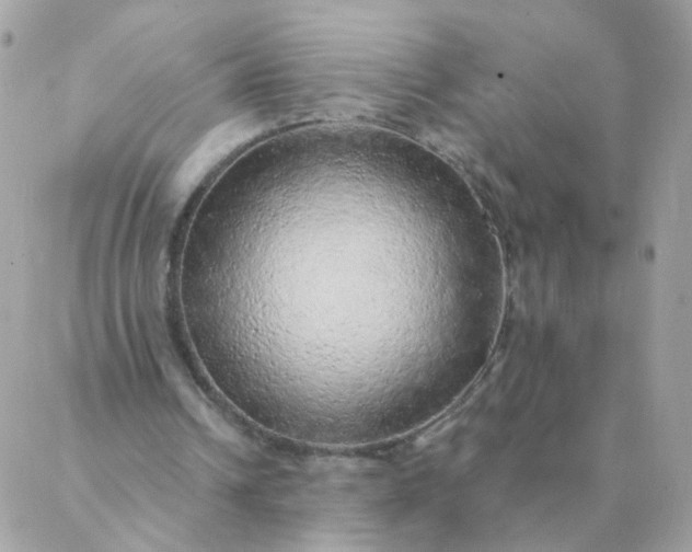 X0000087380242200705041952