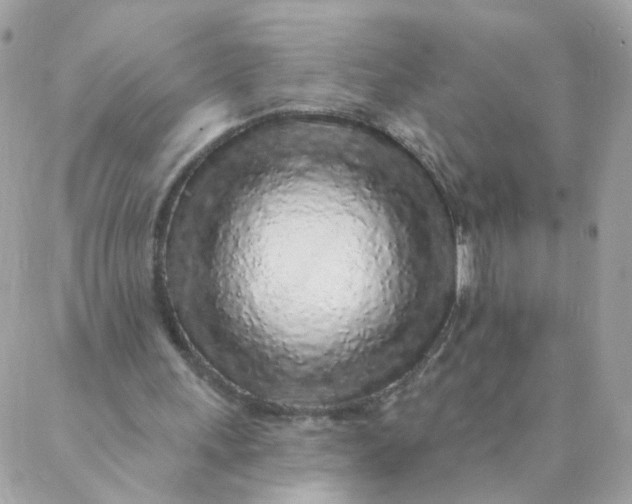 X0000087380243200705041952