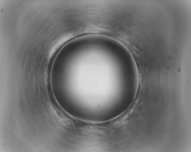 X0000087380244200705041952