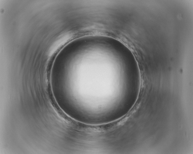 X0000087380245200705041952