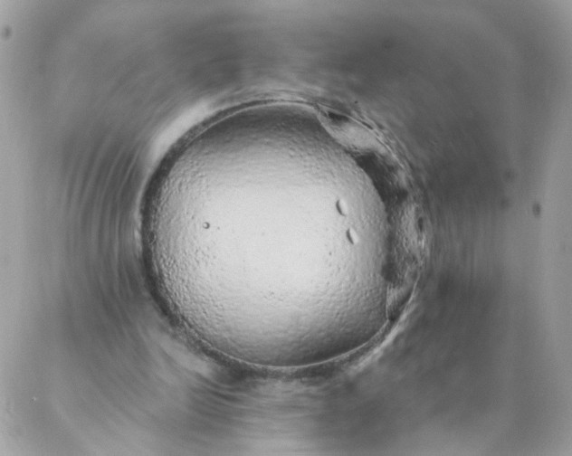 X0000087380246200705041952