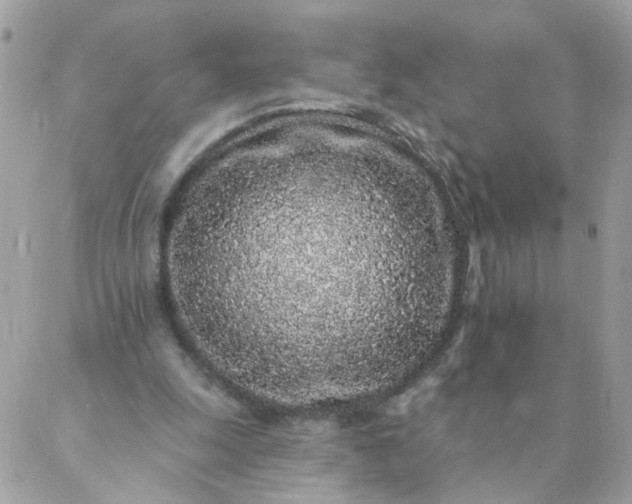 X0000087380247200705041952