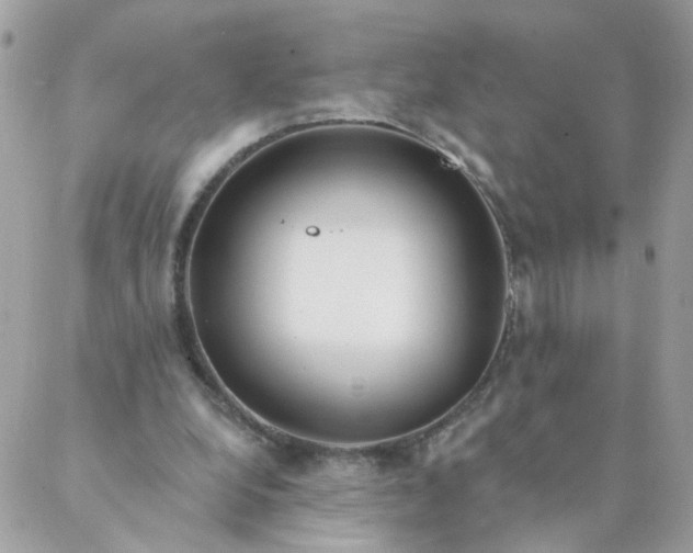 X0000087380248200705041952