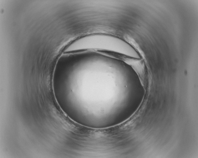 X0000087380249200705041952