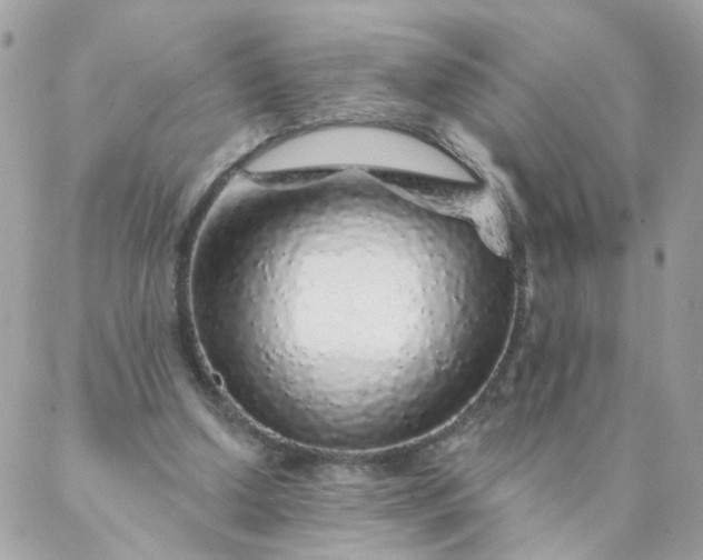 X0000087380250200705041952