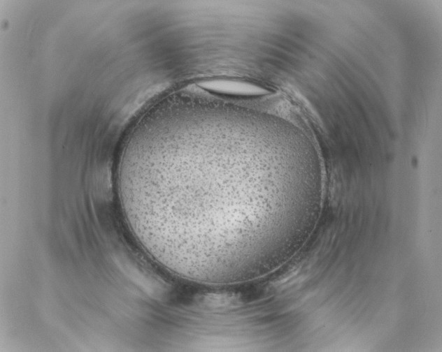 X0000087380251200705041952