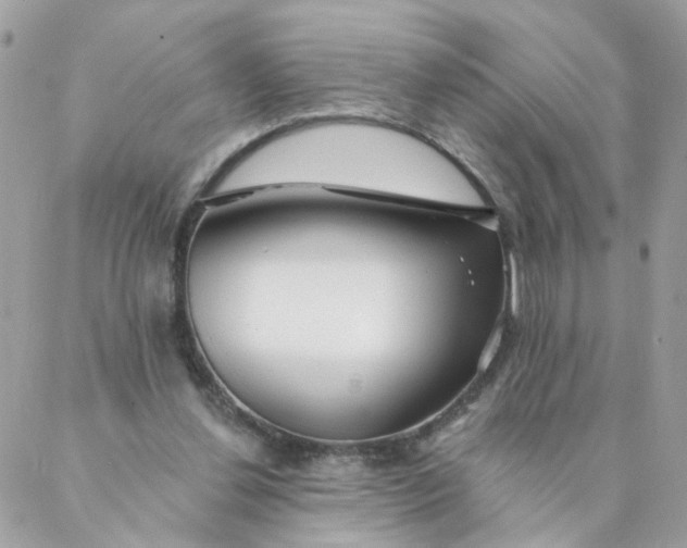 X0000087380252200705041952