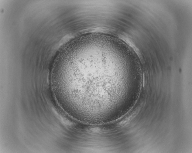 X0000087380253200705041952