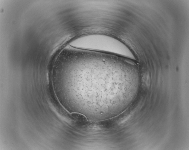 X0000087380254200705041952