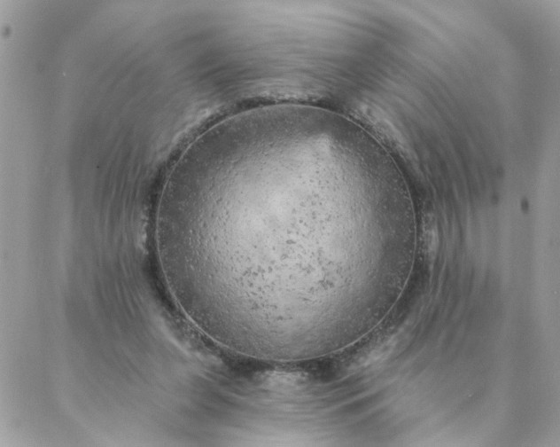 X0000087380255200705041952