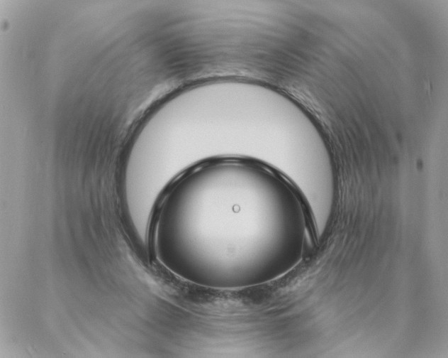 X0000087380256200705041952